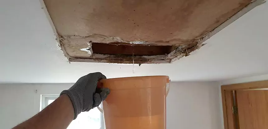 Ceiling Mold Repair McDonough